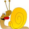 snail.jpg